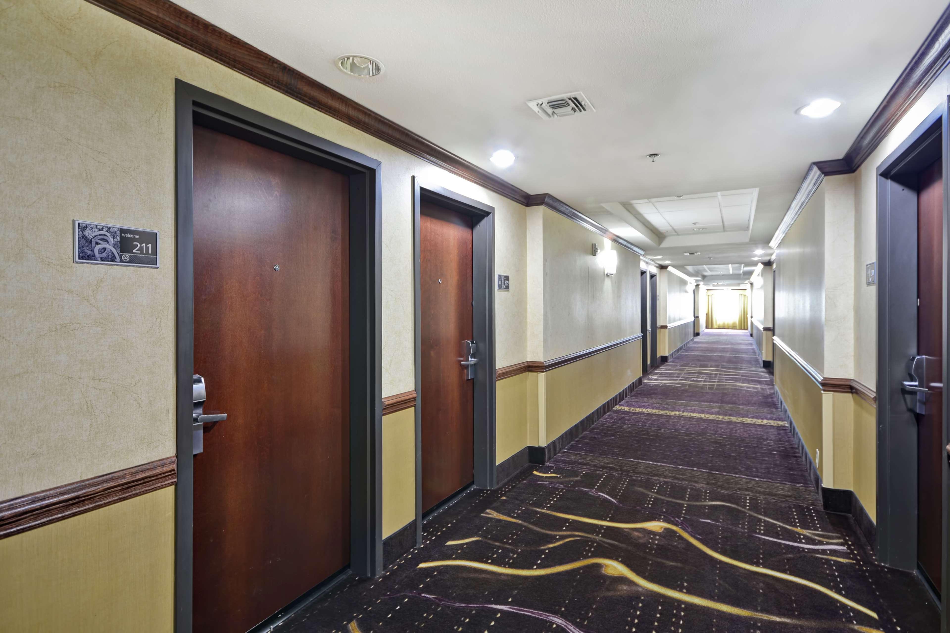 Hampton Inn & Suites Corpus Christi I-37 - Navigation Boulevard Exteriér fotografie